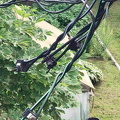 IMG-20240711-WA0000 N